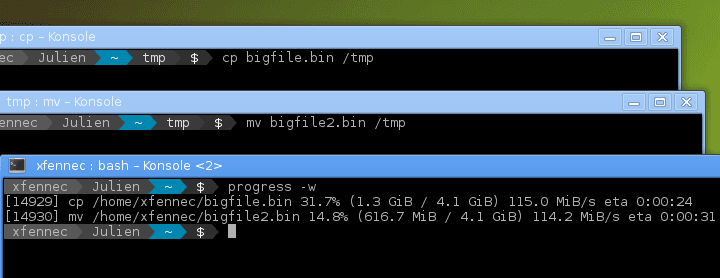 Picture showing progress(1) in a terminal.